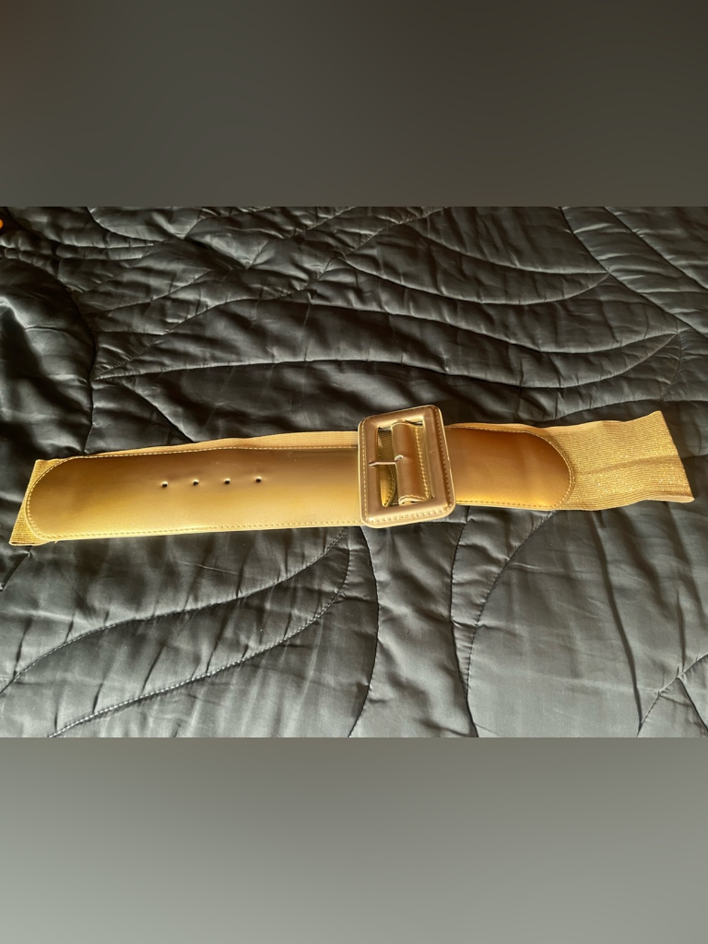 Wide Gold Stretch Belt with Statement Buckle